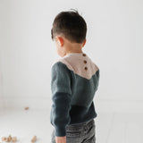 babysprouts Colorblock Knit Sweater