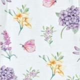 Baby Club Chic Butterfly Garden Dress Printed