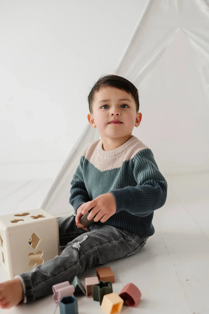 babysprouts Colorblock Knit Sweater Skipper & Scout 