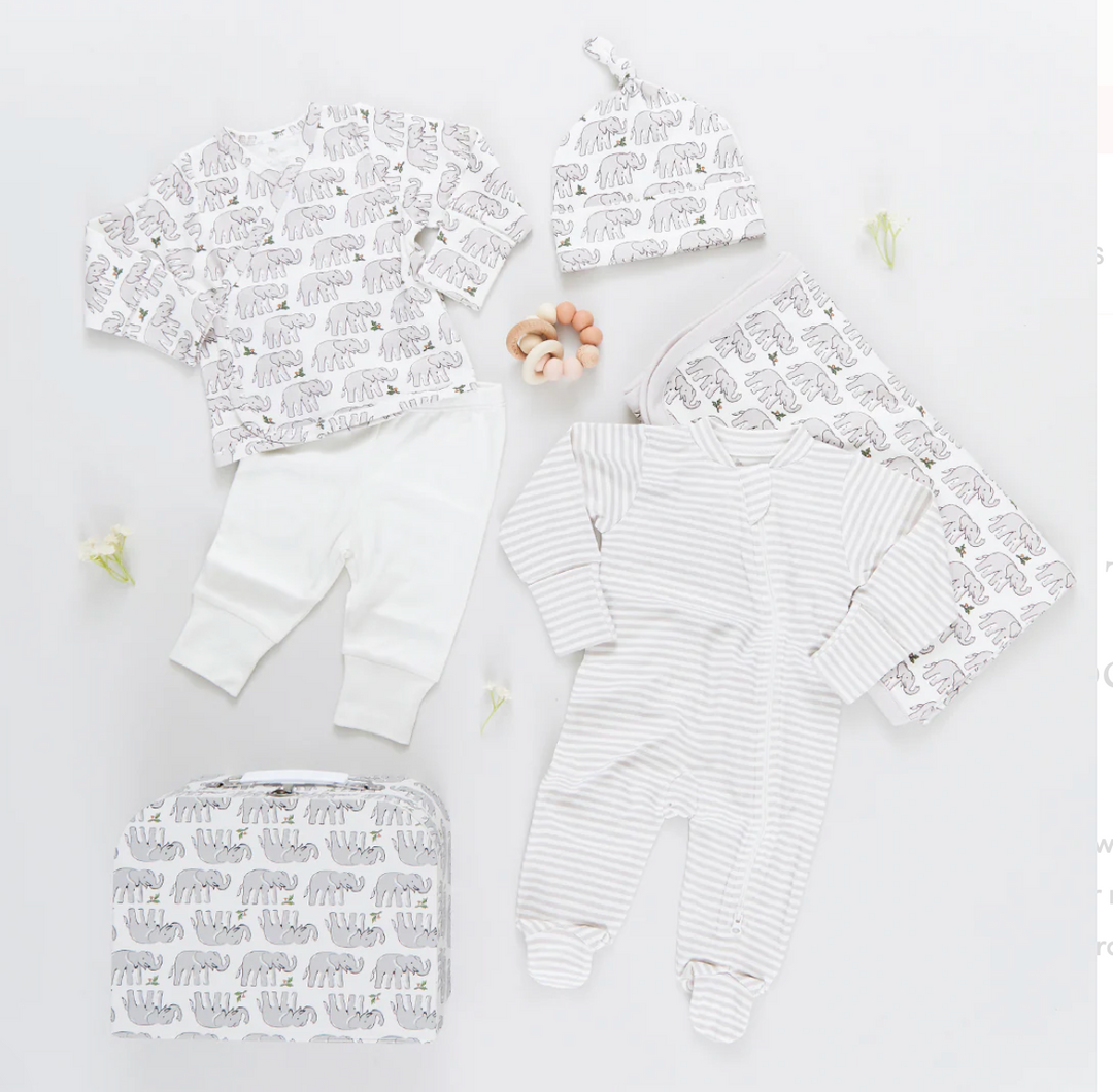 Pink Chicken Nesting Box Baby Take Home Set - Elepahnt Block Print Skipper & Scout 