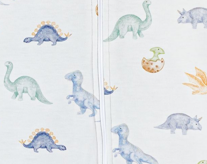 Baby Club Chic Baby Dinos Zip Footie Printed Skipper & Scout 