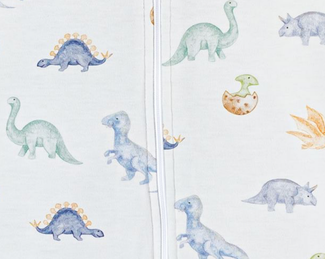 Baby Club Chic Baby Dinos Bubble Printed Skipper & Scout 