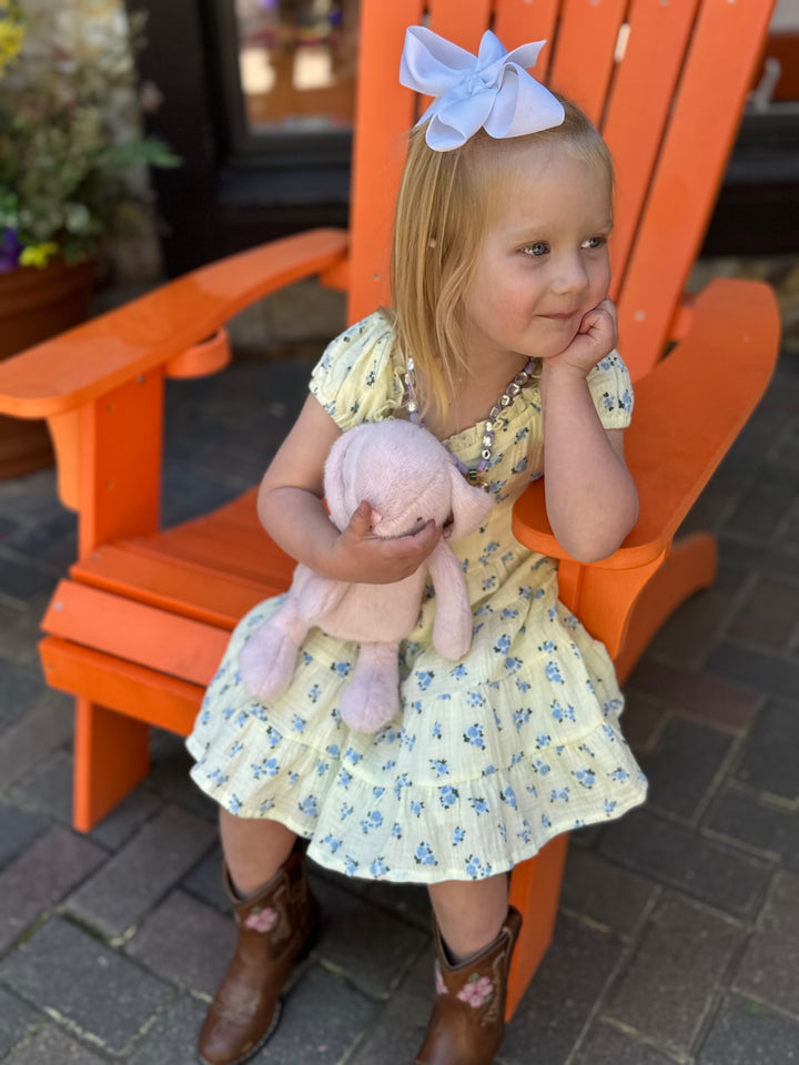 FBZ Ombre Gauze Dress