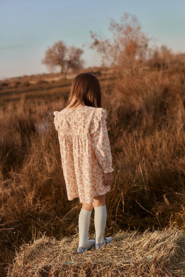 Louise Misha Saralou Printed Corduroy Dress