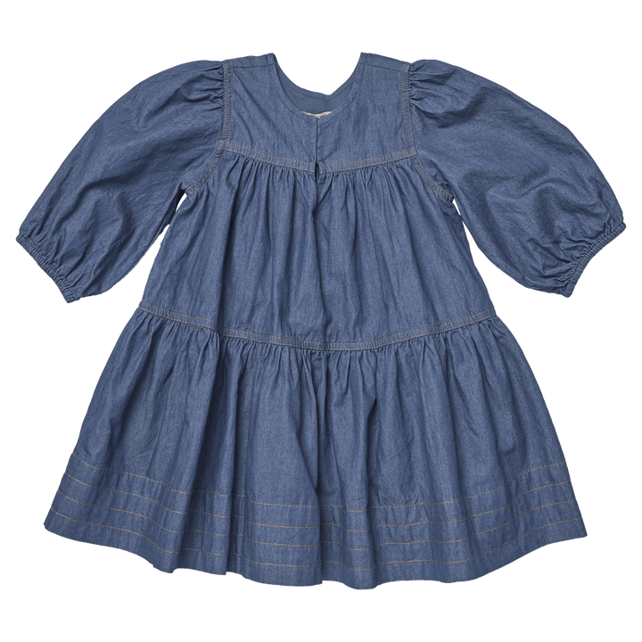 Pink Chicken Chambray Sawyer Dress Skipper & Scout 