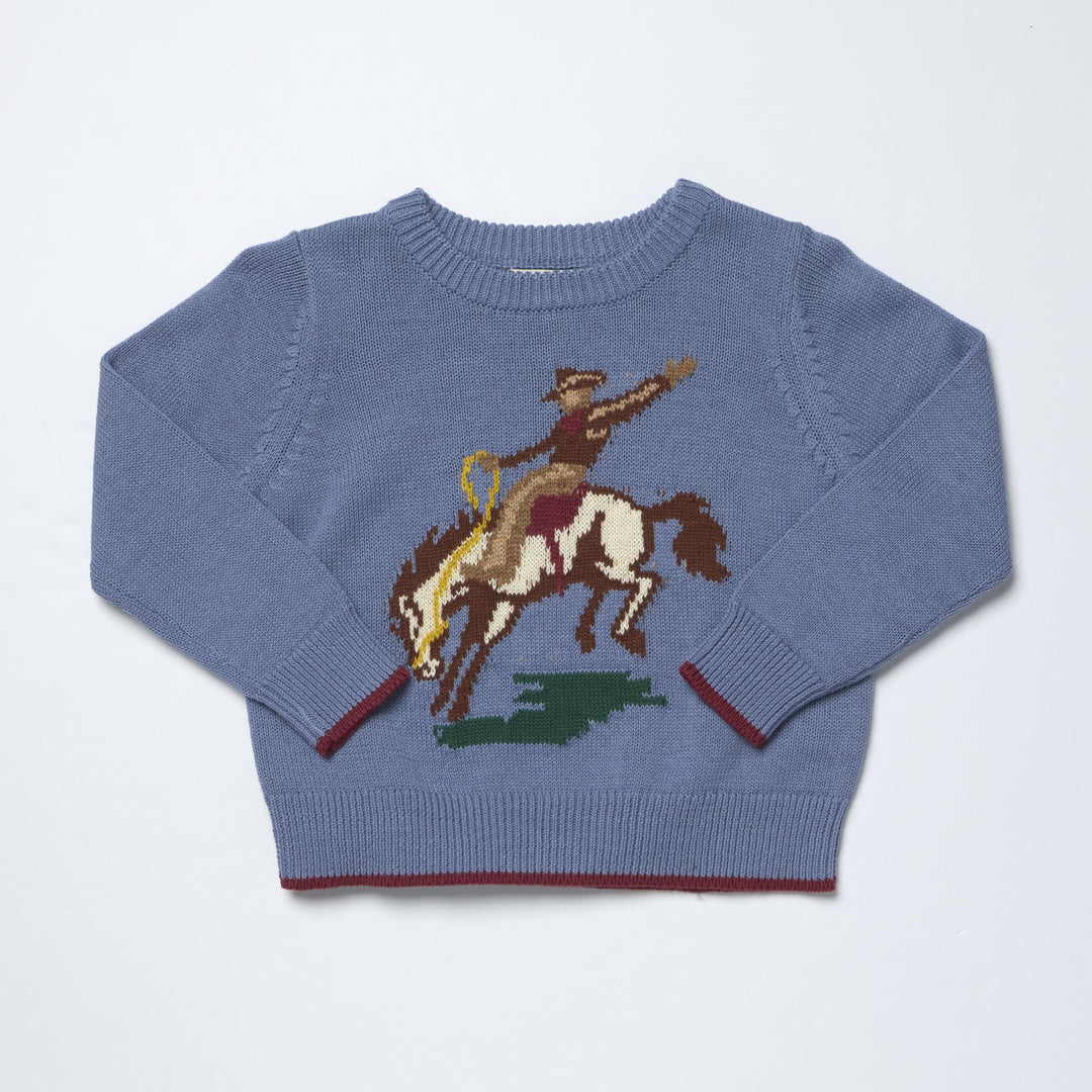 Pink Chicken Boys Bronco Oliver Sweater