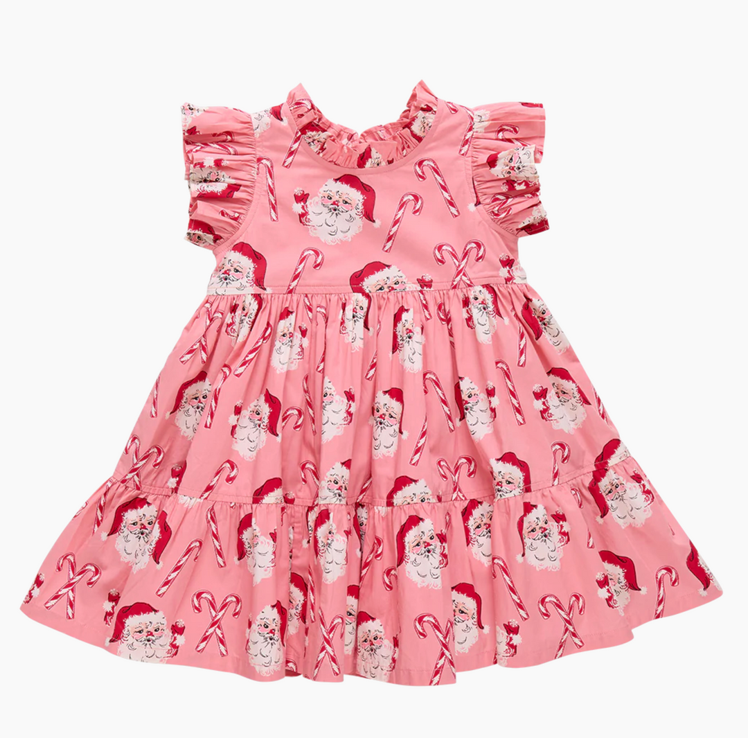 Pink Chicken Jennifer Dress Skipper & Scout 