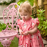 Pink Chicken Jennifer Dress