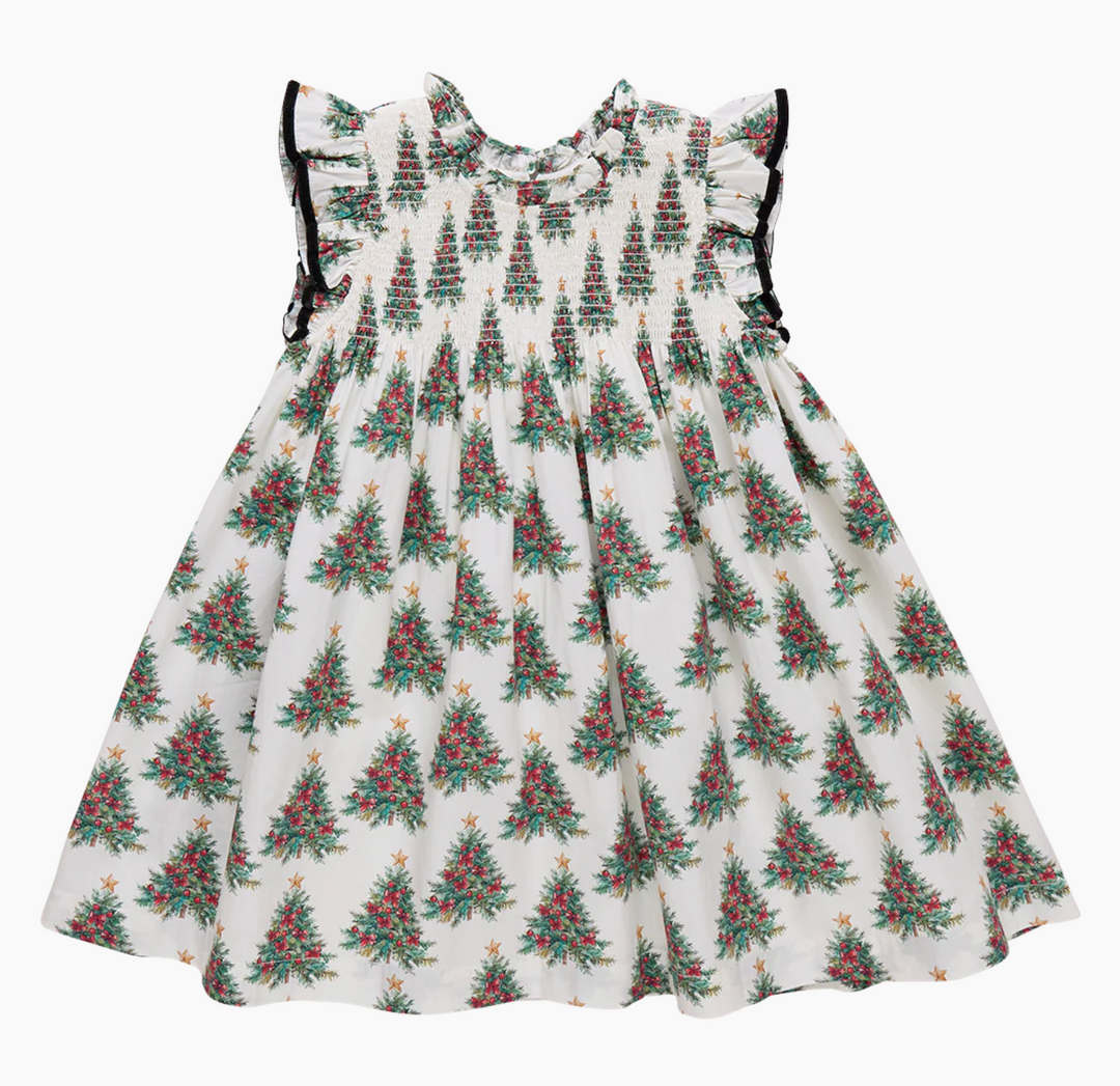 Pink Chicken Stevie Dress Skipper & Scout 