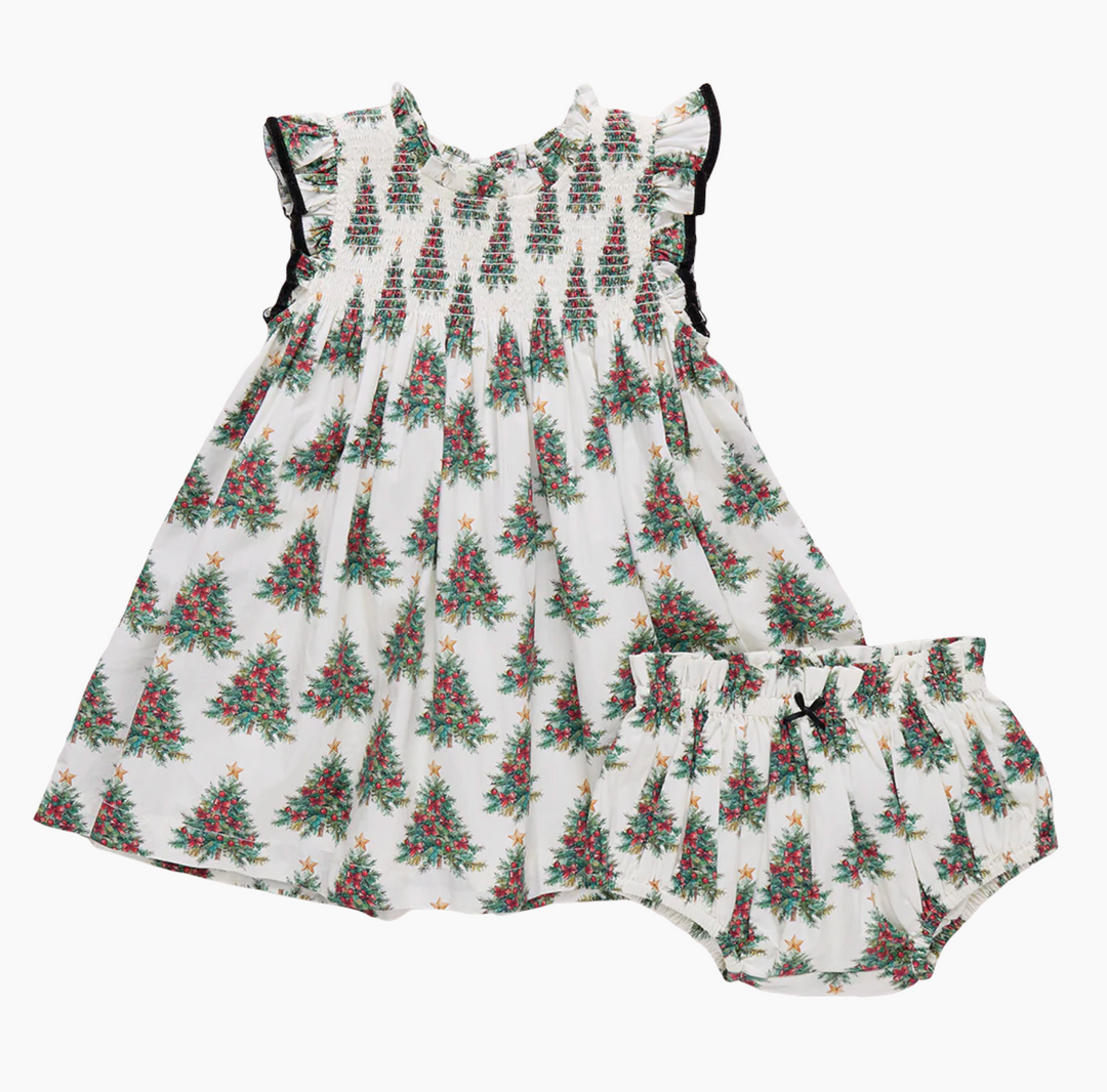 Pink Chicken Stevie Dress Skipper & Scout 