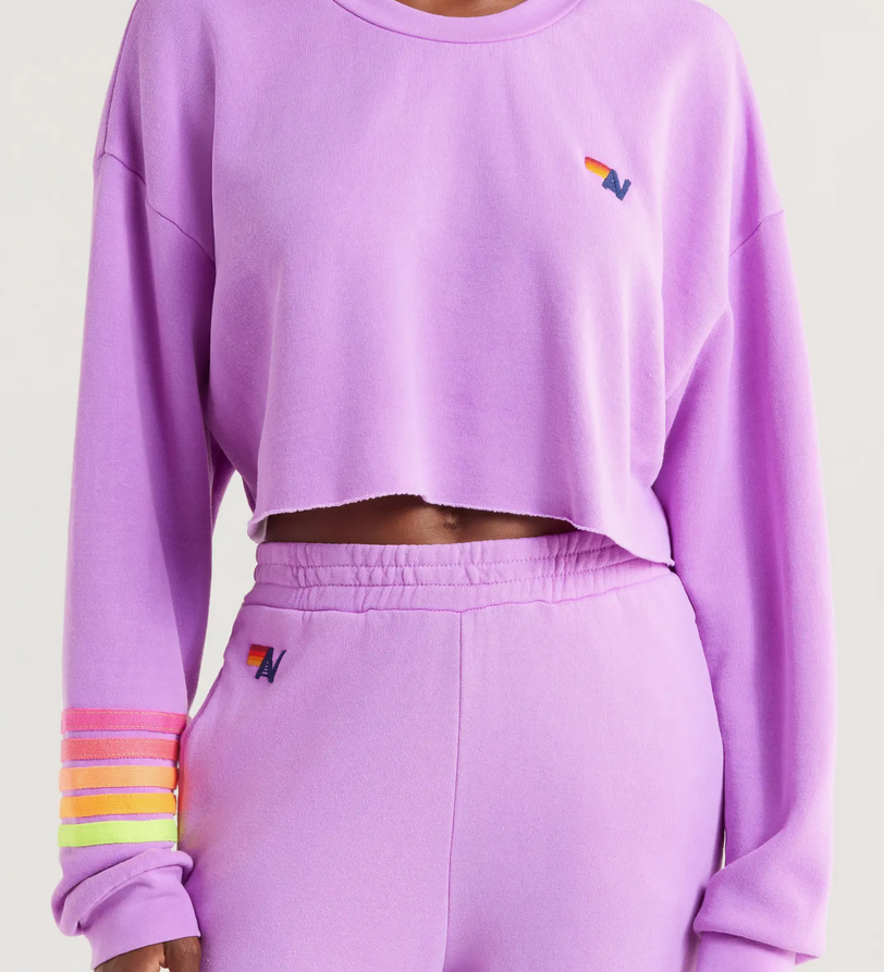 Aviator Nation Rugby Stitch Cropped Crew Sweatshirt