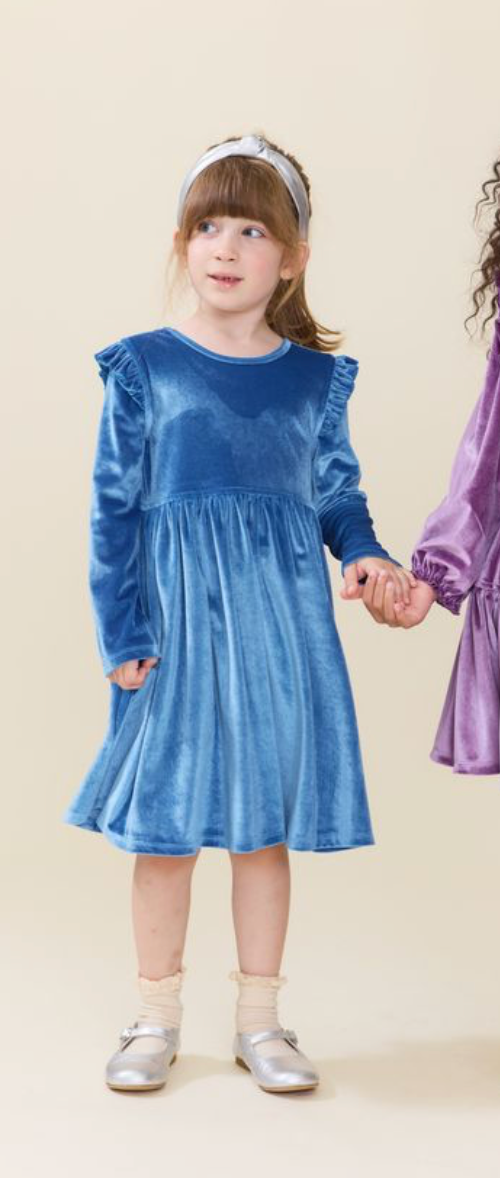 Pink Chicken Natalie Velour Dress