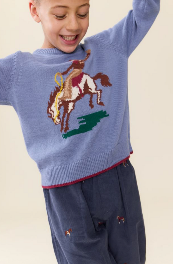 Pink Chicken Boys Bronco Oliver Sweater