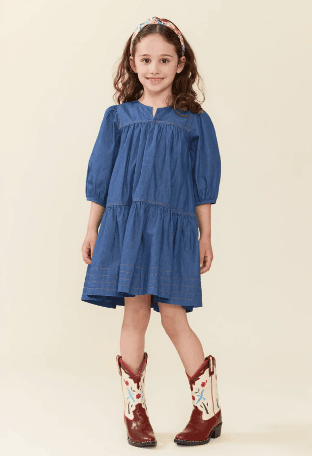 Pink Chicken Chambray Sawyer Dress Skipper & Scout 