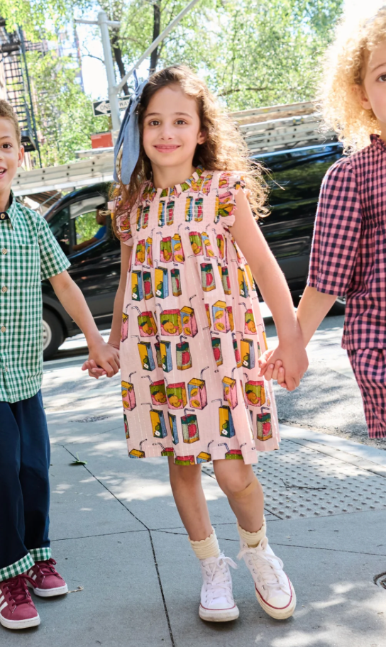 Pink Chicken Stevie Dress - Juice Boxes Skipper & Scout 
