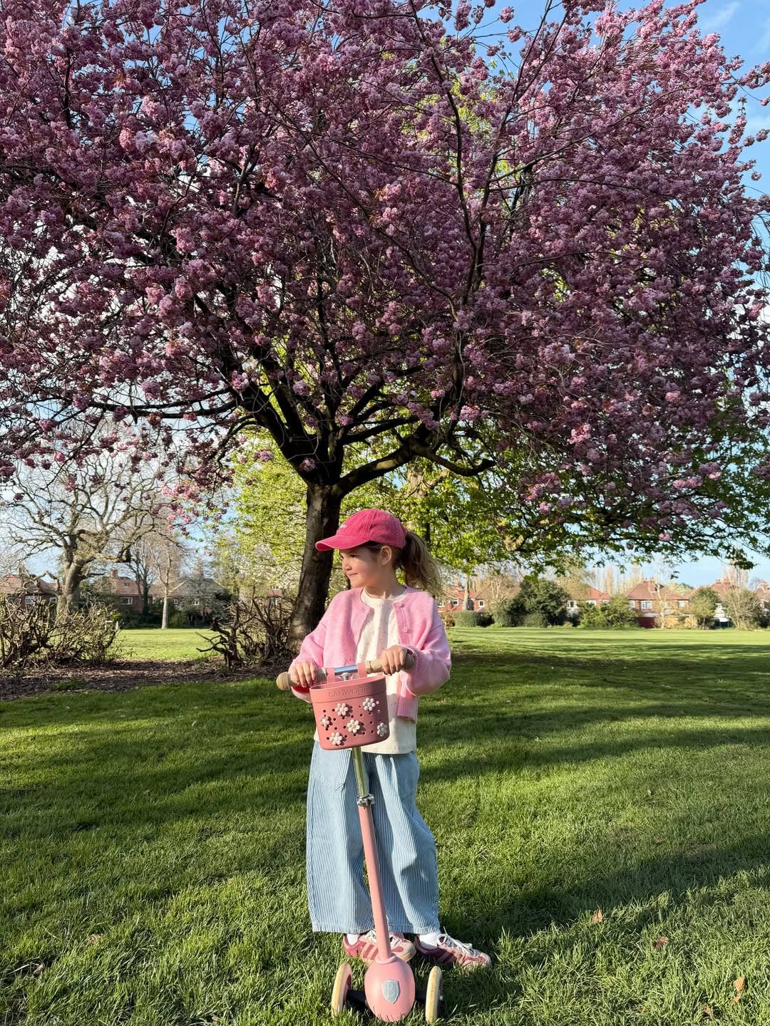 Banwood Eco Scooter - RASPBERRY