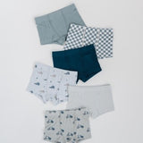 babysprouts  BOY'S BOXER SET